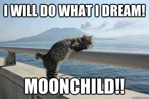 I Will Do What I Dream! MOONCHILD!! - I Will Do What I Dream! MOONCHILD!!  daydreamer cat