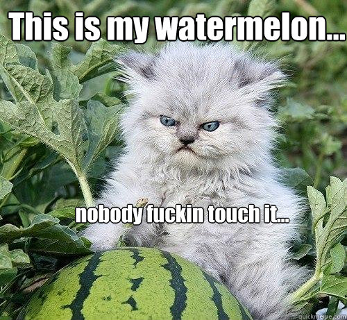 This is my watermelon... nobody fuckin touch it...  German Kitty