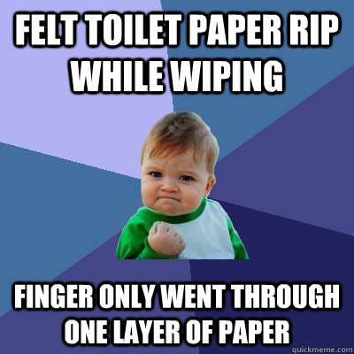 felt toilet paper rip while wiping finger only went through     one layer of paper  Success Kid
