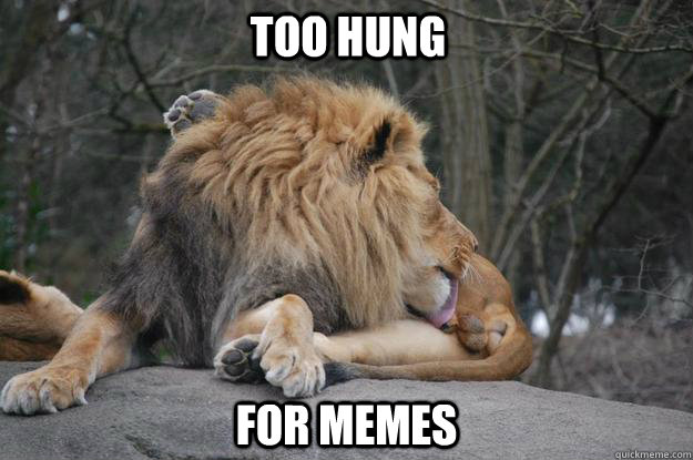 Too hung for memes  Lion Balls