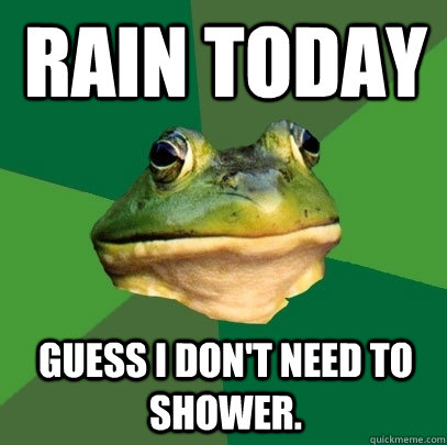 Rain today Guess I don't need to shower.  Foul Bachelor Frog