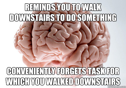 Reminds you to walk downstairs to do something Conveniently forgets task for which you walked downstairs  Scumbag Brain