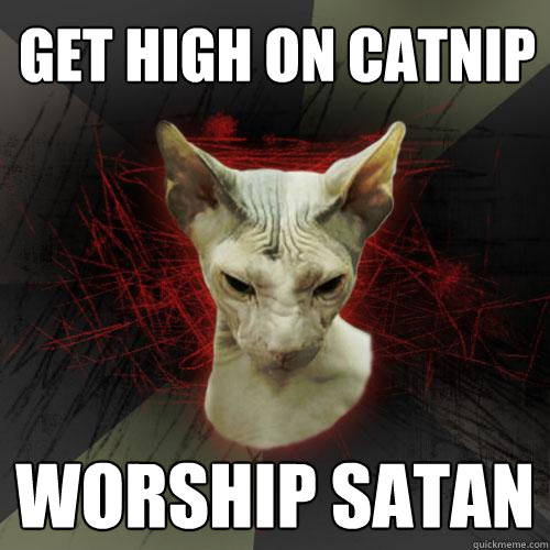 GET HIGH ON CATNIP WORSHIP SATAN  Evil Cat
