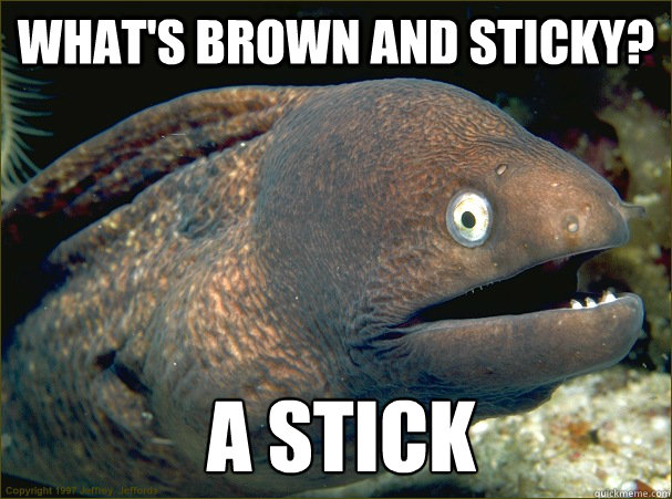 what's brown and sticky? a stick  Bad Joke Eel