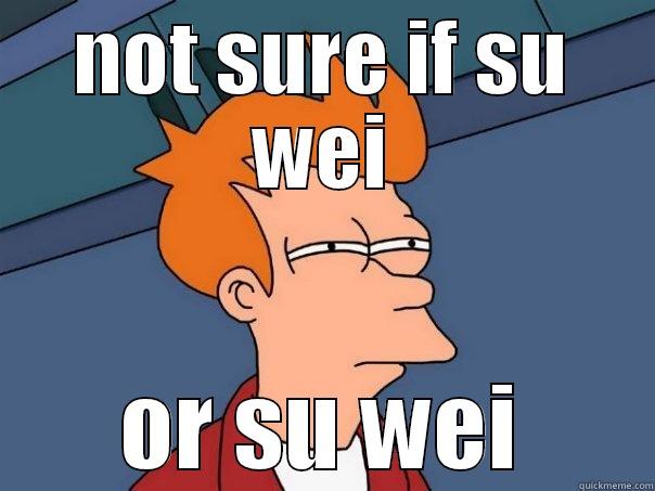 NOT SURE IF SU WEI OR SU WEI Futurama Fry