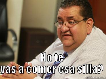 Te lo vas a comer -  NO TE VAS A COMER ESA SILLA? Misc