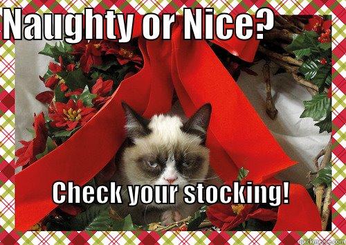 NAUGHTY OR NICE?           CHECK YOUR STOCKING!                                                       merry christmas