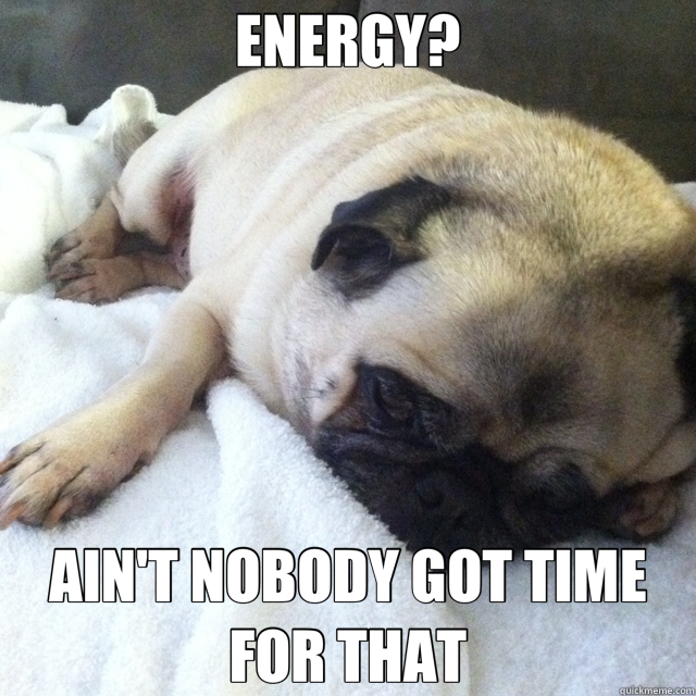 ENERGY? AIN'T NOBODY GOT TIME FOR THAT  Lonely Pug