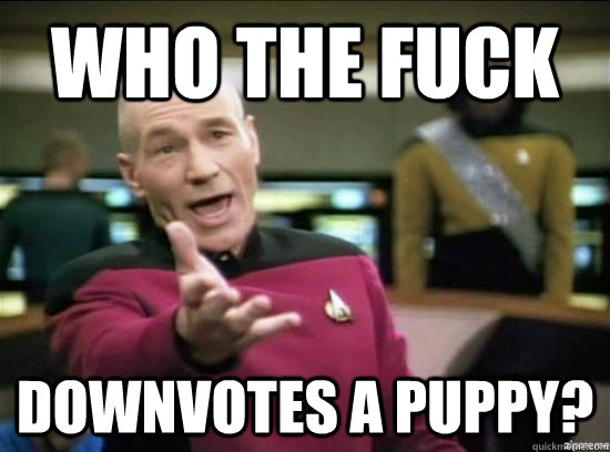 who the fuck downvotes a puppy?  Annoyed Picard HD