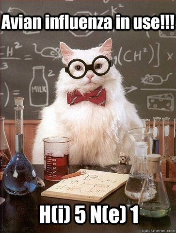 Avian influenza in use!!! H(i) 5 N(e) 1  Chemistry Cat