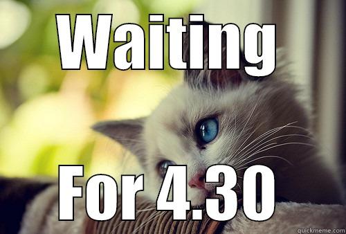 Friday Feeling! - WAITING FOR 4.30 First World Problems Cat