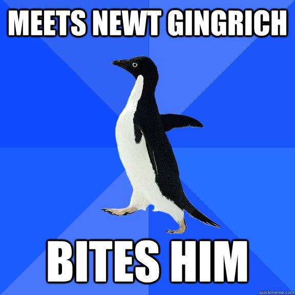 Meets Newt Gingrich Bites him  Socially Awkward Penguin