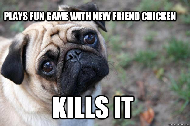 Plays fun game with new friend chicken kills it  First World Dog problems