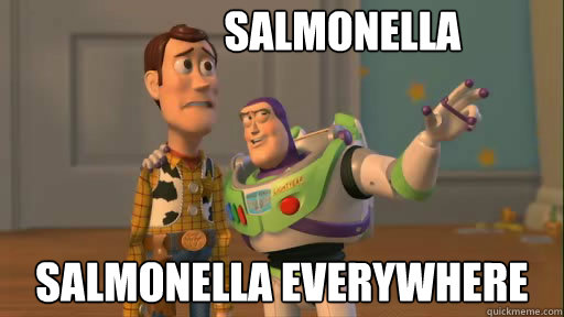 salmonella salmonella everywhere - salmonella salmonella everywhere  Everywhere