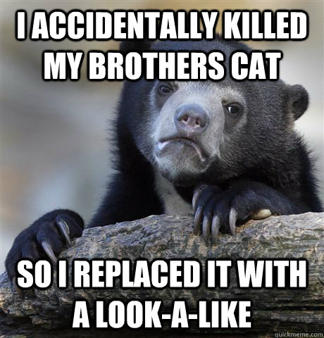 I accidentally killed my brothers cat SO i replaced it with a look-a-like  Confession Bear