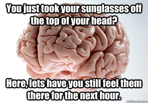 You just took your sunglasses off the top of your head? Here, lets have you still feel them there for the next hour.  Scumbag Brain