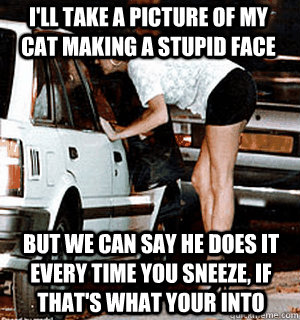 i'll take a picture of my cat making a stupid face BUT WE CAN SAY he does it every time you sneeze, if that's what your into  Karma Whore