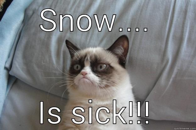 Snow sickness - SNOW.... IS SICK!!! Grumpy Cat