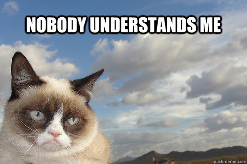 Nobody understands me - Nobody understands me  sad grumpy cat