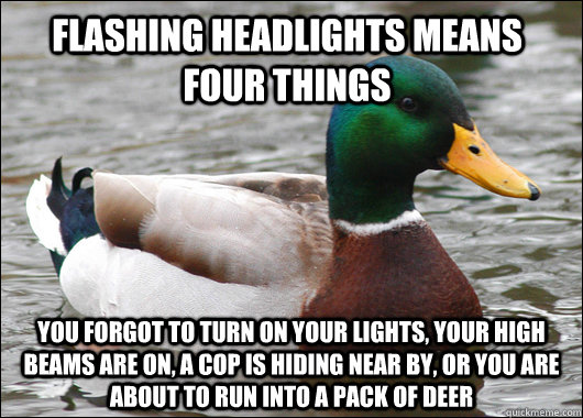 flashing headlights means four things you forgot to turn on your lights, your high beams are on, a cop is hiding near by, or you are about to run into a pack of deer  Actual Advice Mallard
