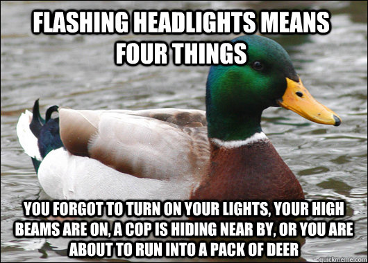 flashing headlights means four things you forgot to turn on your lights, your high beams are on, a cop is hiding near by, or you are about to run into a pack of deer - flashing headlights means four things you forgot to turn on your lights, your high beams are on, a cop is hiding near by, or you are about to run into a pack of deer  Actual Advice Mallard
