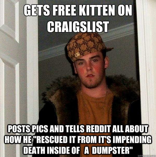 gets free kitten ON craigslist POSTS PICS AND TELLS REDDIT ALL ABOUT HOW HE 