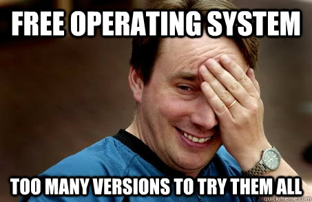 free operating system too many versions to try them all  Linux user problems