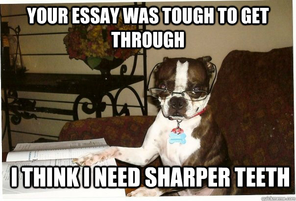 Your essay was tough to get through i think i need sharper teeth - Your essay was tough to get through i think i need sharper teeth  Professor Dog