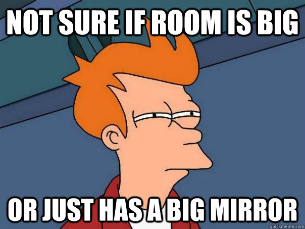 Not sure if room is big Or just has a big mirror  Futurama Fry