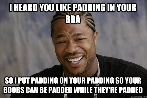 I heard you like padding in your bra So I put padding on your padding so your boobs can be padded while they're padded  Xzibit meme