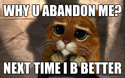 Why u abandon me? Next time I b better  Sad cat