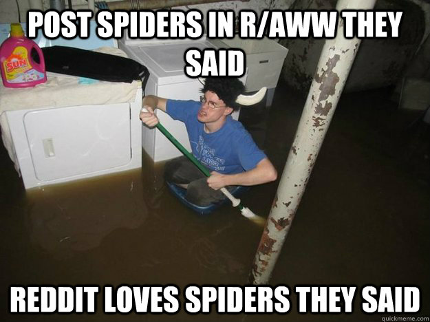 Post spiders in r/aww they said reddit loves spiders they said  Laundry Room Viking
