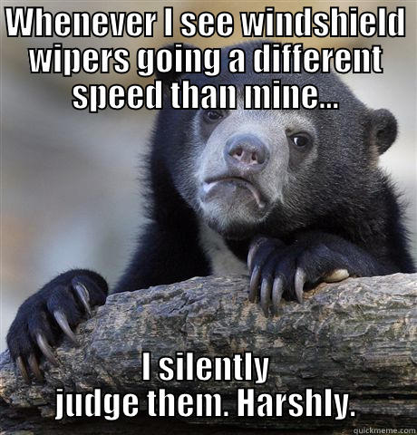 WHENEVER I SEE WINDSHIELD WIPERS GOING A DIFFERENT SPEED THAN MINE... I SILENTLY JUDGE THEM. HARSHLY. Confession Bear