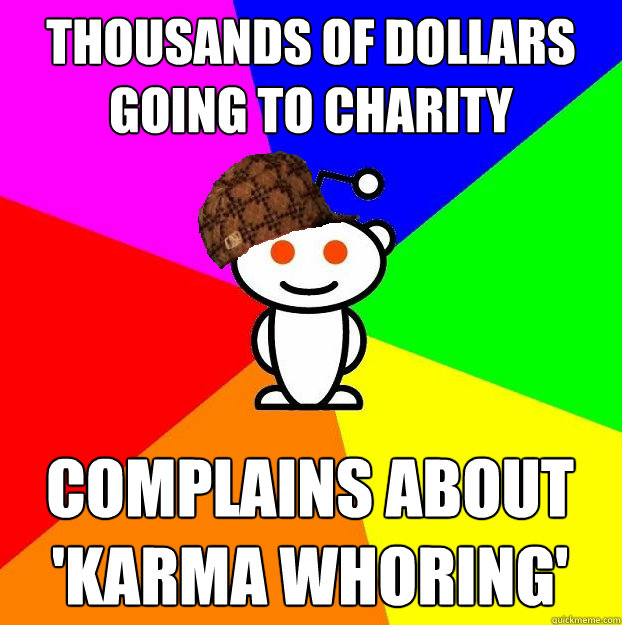 Thousands of dollars going to charity  complains about 'karma whoring'  Scumbag Redditor