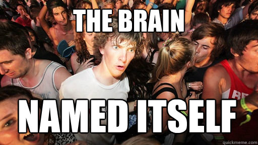 The brain Named Itself  Sudden Clarity Clarence