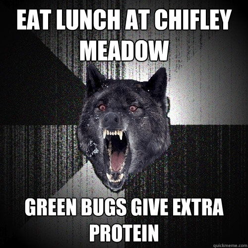 eat lunch at chifley meadow green bugs give extra protein  Insanity Wolf