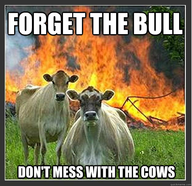 Forget the bull Don't mess with the cows   Evil cows