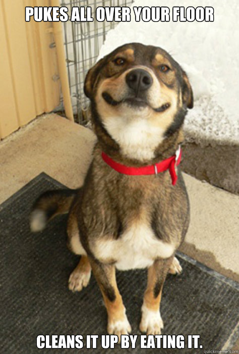 Pukes all over your floor Cleans it up by eating it.  Good Guy Dog