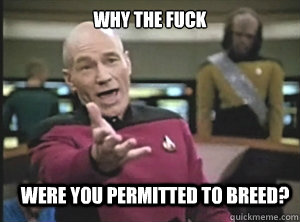 why the fuck Were you permitted to breed? - why the fuck Were you permitted to breed?  Annoyed Picard