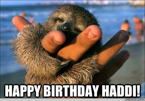  Happy Birthday Haddi!  cute baby sloth