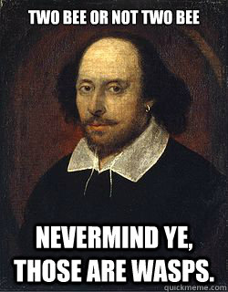 Two bee or not two bee Nevermind ye, those are wasps.  Shakespeare Twin