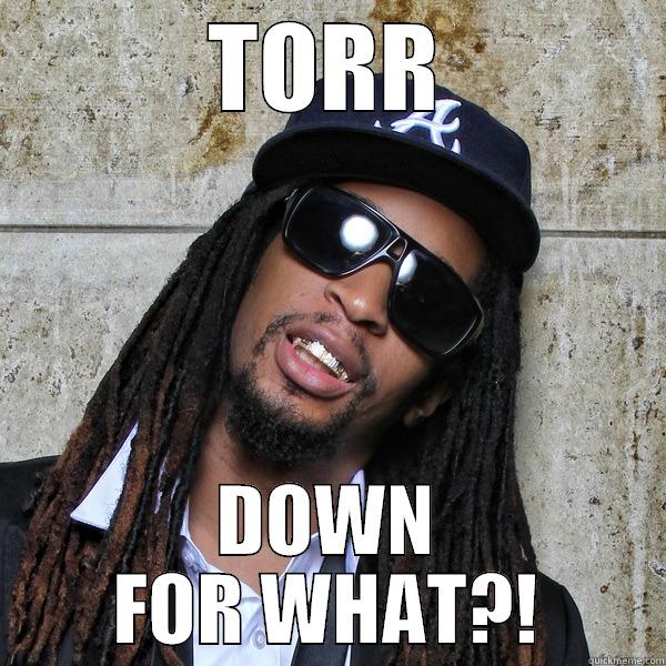 TORR DOWN FOR WHAT?! Misc