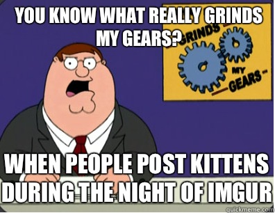 you know what really grinds my gears? When people post kittens during the night of imgur  Grinds my gears