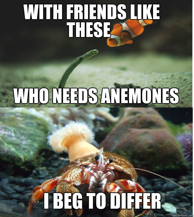 With Friends Like These Who Needs Anemones With Friends like these Who needs anemones I beg to differ - Misc