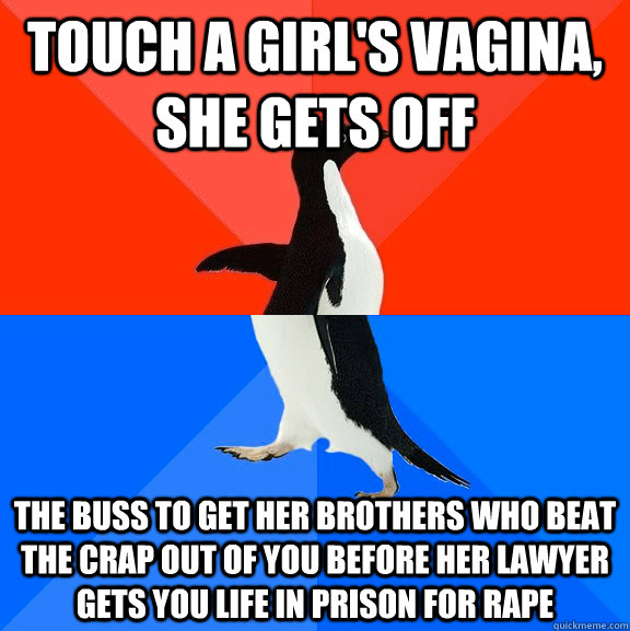 Touch a girl's vagina, she gets off The buss to get her brothers who beat the crap out of you before her lawyer gets you life in prison for rape  Socially Awesome Awkward Penguin