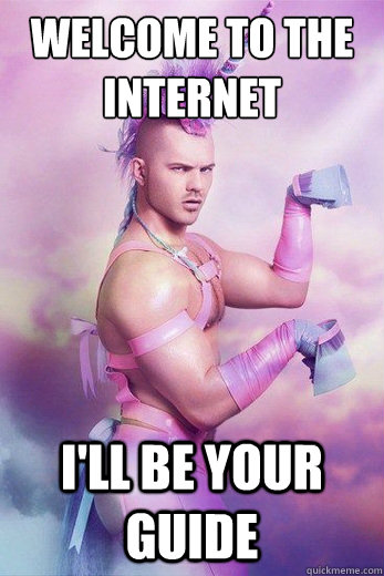 Welcome to the internet I'll be your guide  