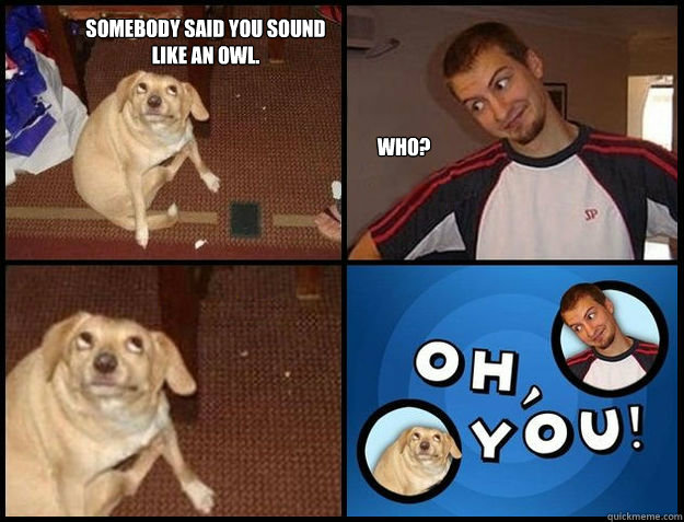Somebody said you sound
like an owl. Who? - Somebody said you sound
like an owl. Who?  Oh you!