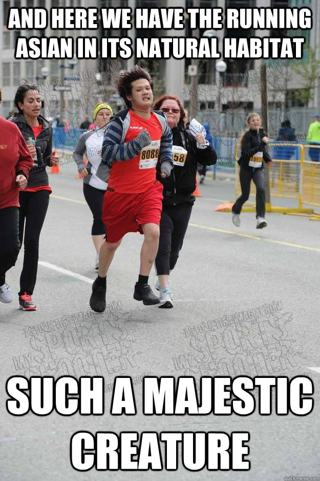 And here we have the Running Asian in its natural habitat Such a majestic creature - And here we have the Running Asian in its natural habitat Such a majestic creature  Running Asian