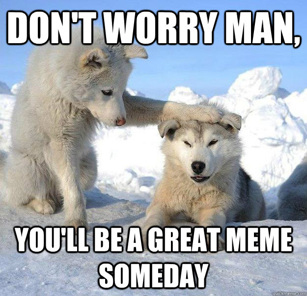 Don't worry man, you'll be a great meme someday  Caring Husky