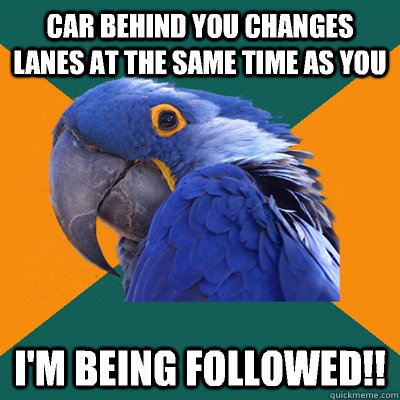 Car behind you changes lanes at the same time as you I'm being followed!!  Paranoid Parrot